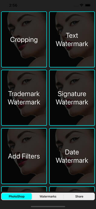Add Logo, Text & Trademark